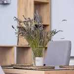 Podwale Uj Downtown Cracow By Renters Apartment Krakau