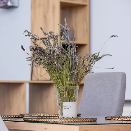 Podwale Uj Downtown Cracow By Renters Apartment Krakow
